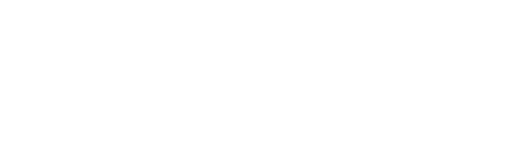 Analog IAS Academy footer logo